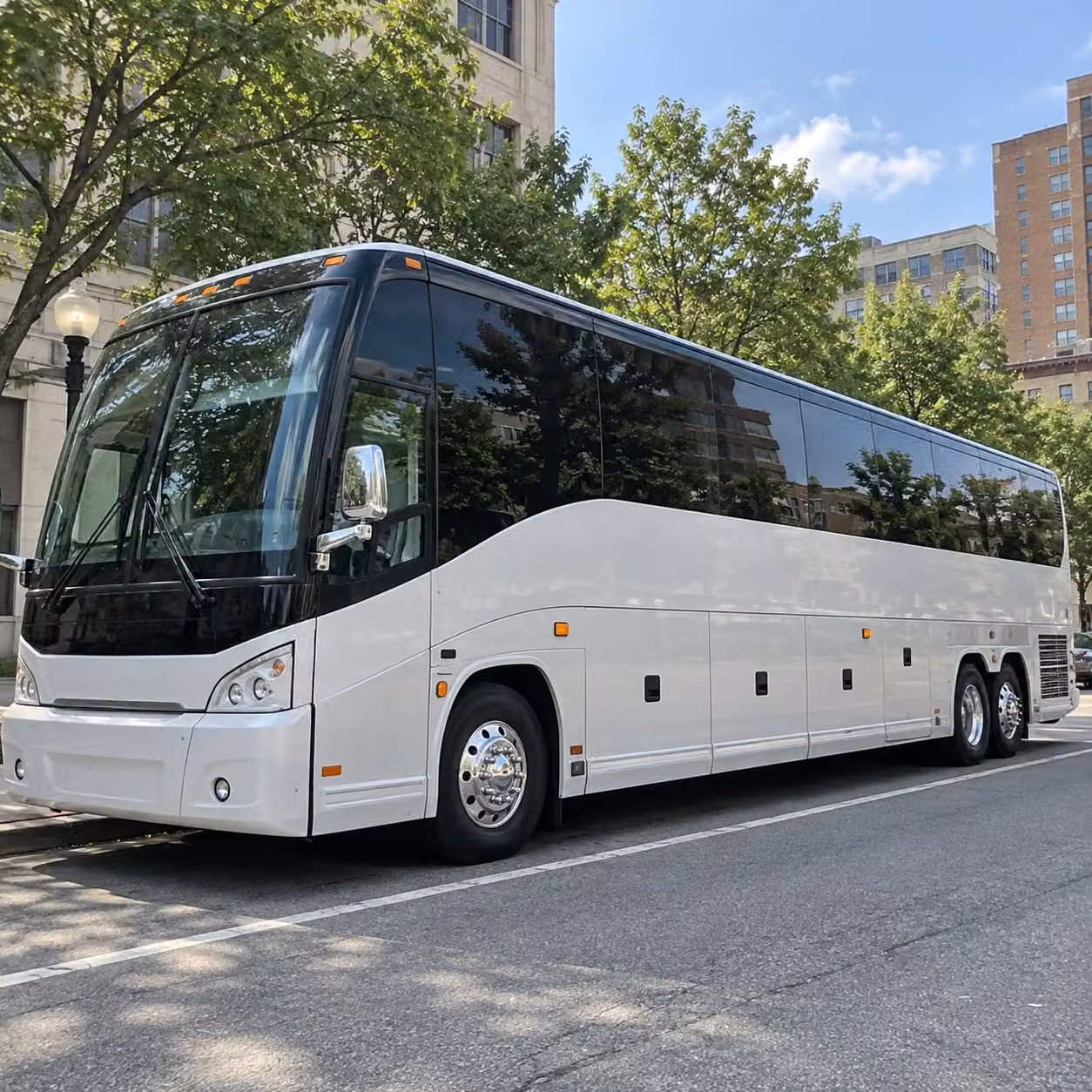 field trip bus rentals to the bay beach wildlife sanctuary bay beach amusement park